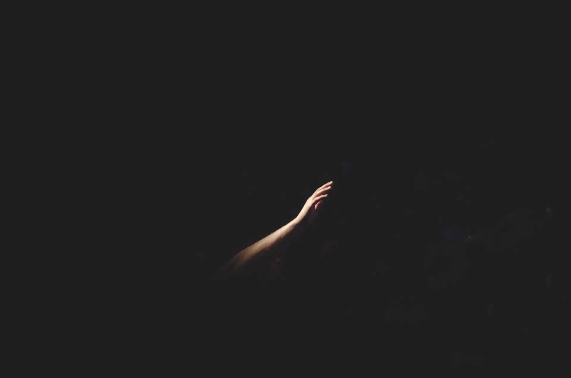 Hand in the Dark