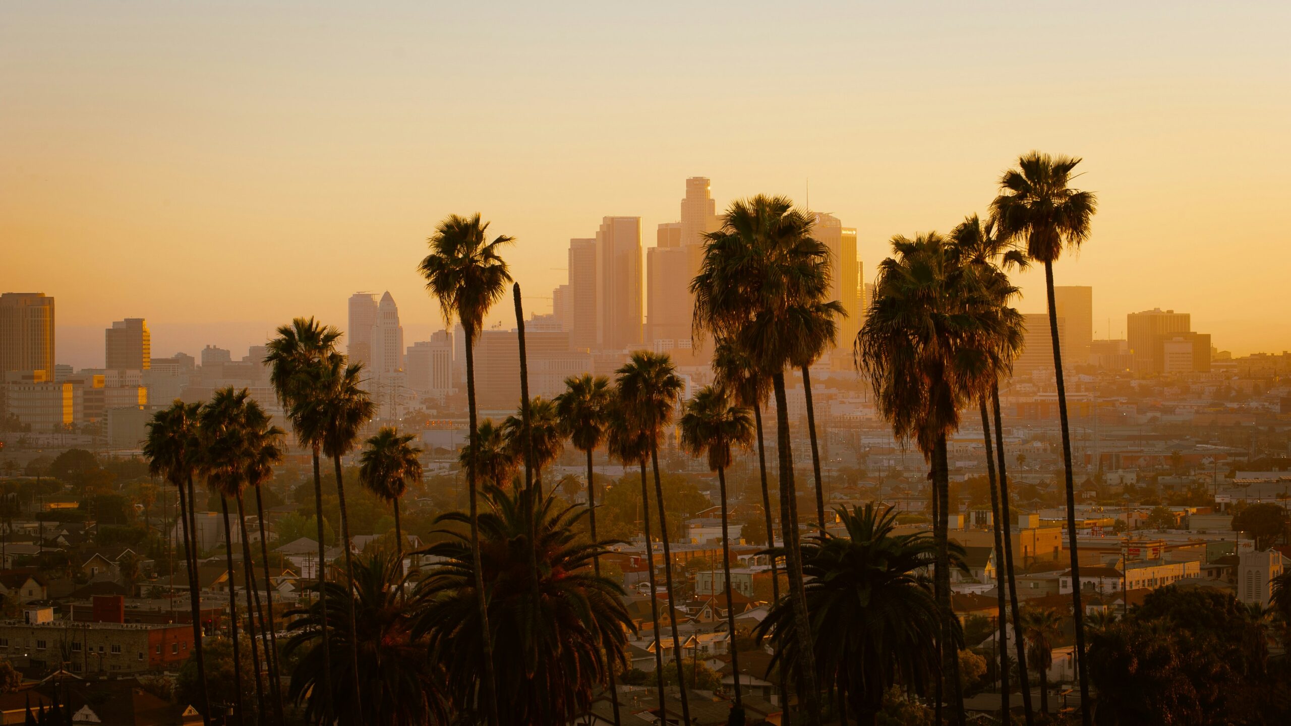 MISLA - Made in South Los Angeles